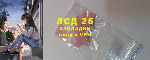 ГАЛЛЮЦИНОГЕННЫЕ ГРИБЫ Кукмор