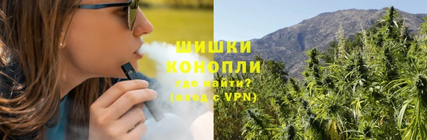 ГАЛЛЮЦИНОГЕННЫЕ ГРИБЫ Кукмор