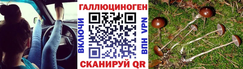 Псилоцибиновые грибы Magic Shrooms  Купить где  Лакинск 